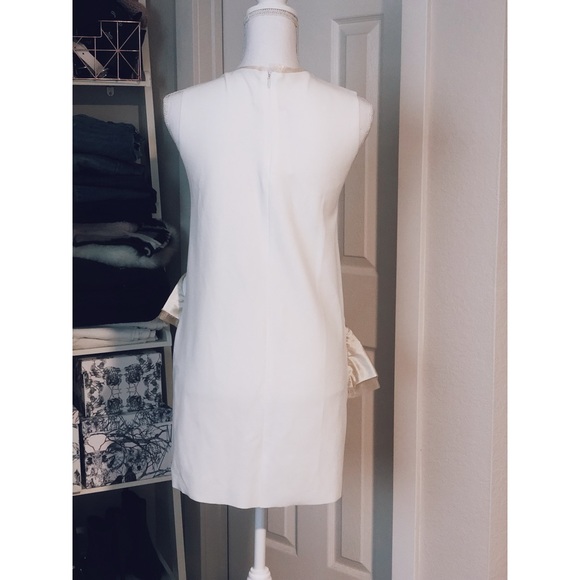 NWT Zara Modern Mini Dress Satin & Organza Ruffles - Picture 5 of 5